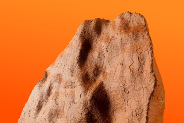 yordan-stoyanov-IKy3Rqo3SBx4-unsplash (1)