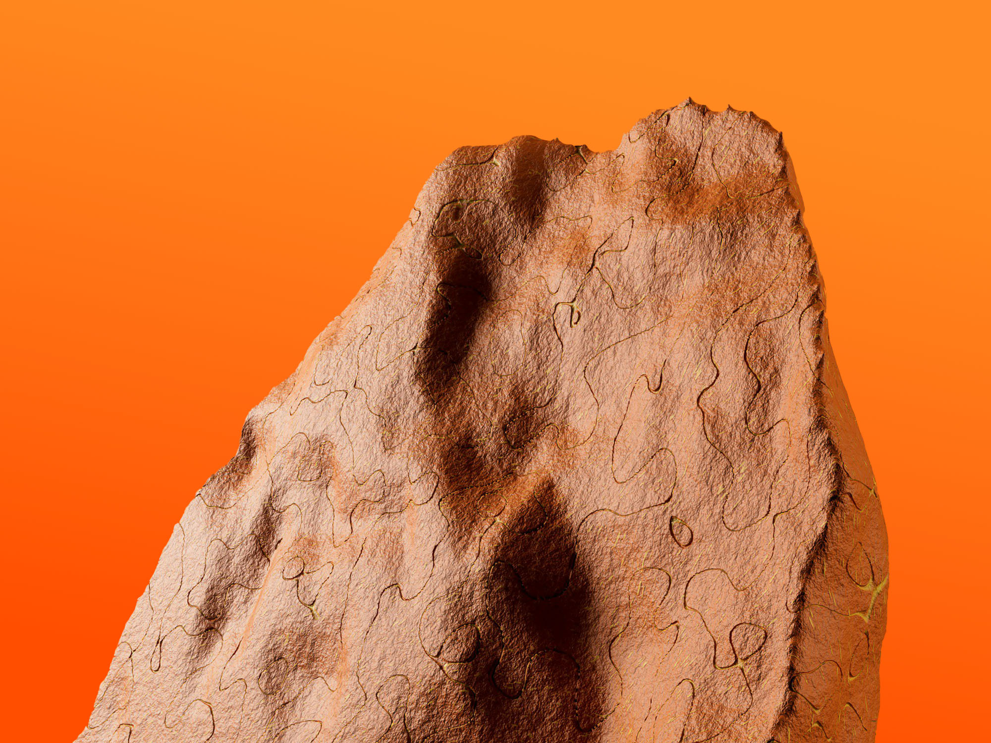 yordan-stoyanov-IKy3Rqo3SBx4-unsplash (1)